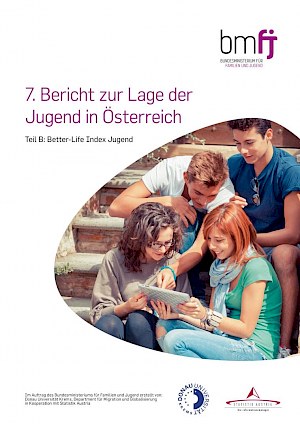 Buchtitel: 7. Bericht zur Lage der Jugend in Österreich (B)